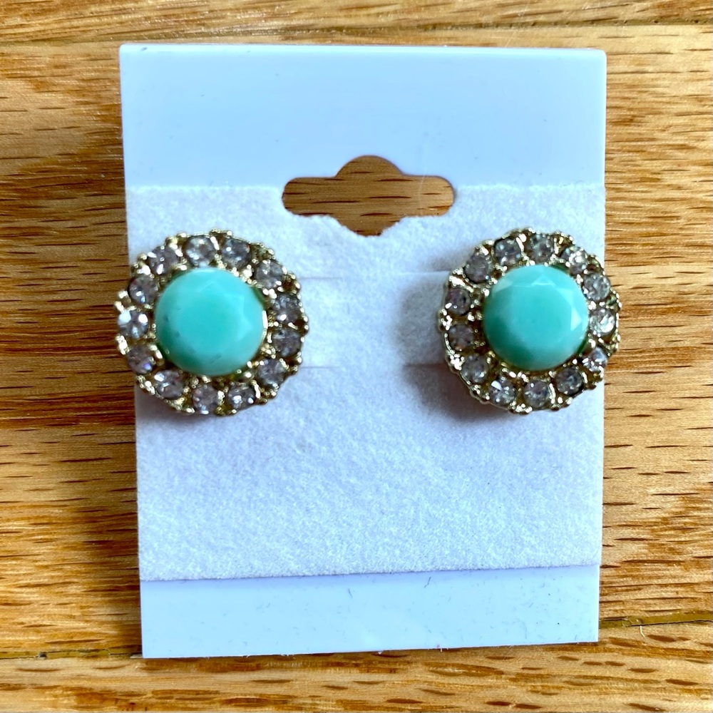 Earrings. Round turquoise colored.